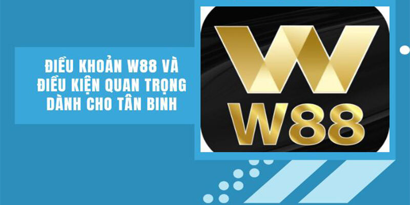 Chính sách điều khoản sử dụng dịch vụ mà tân binh W88 cần nắm rõ